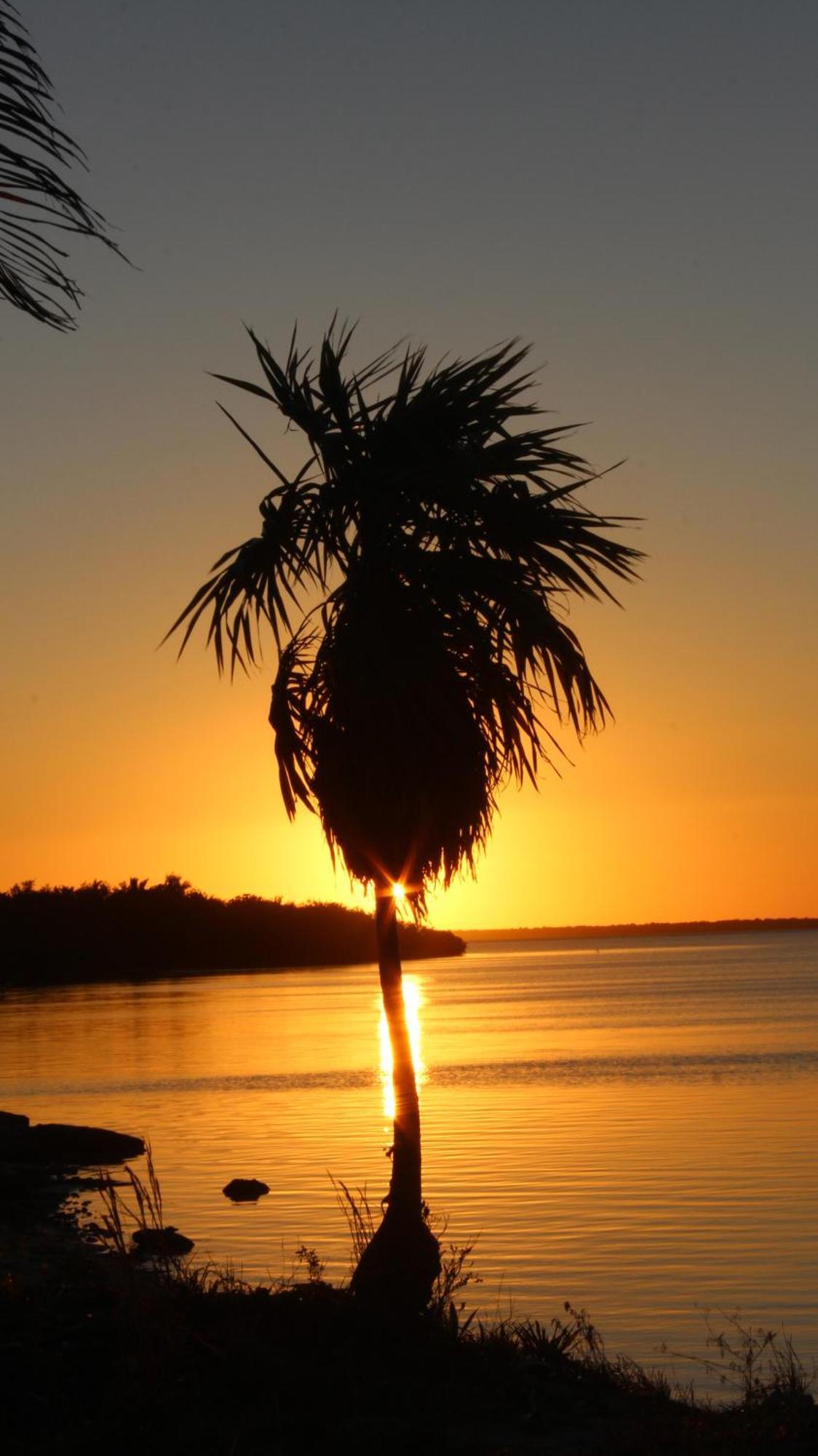 Ikarus Costa Mujeres Eco Lodge Sunset View Cancún Buitenkant foto
