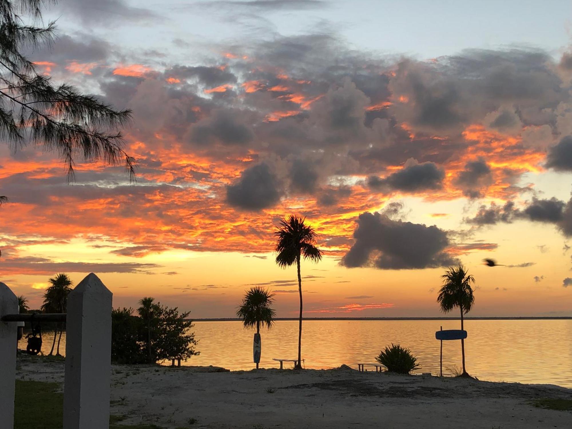 Ikarus Costa Mujeres Eco Lodge Sunset View Cancún Buitenkant foto