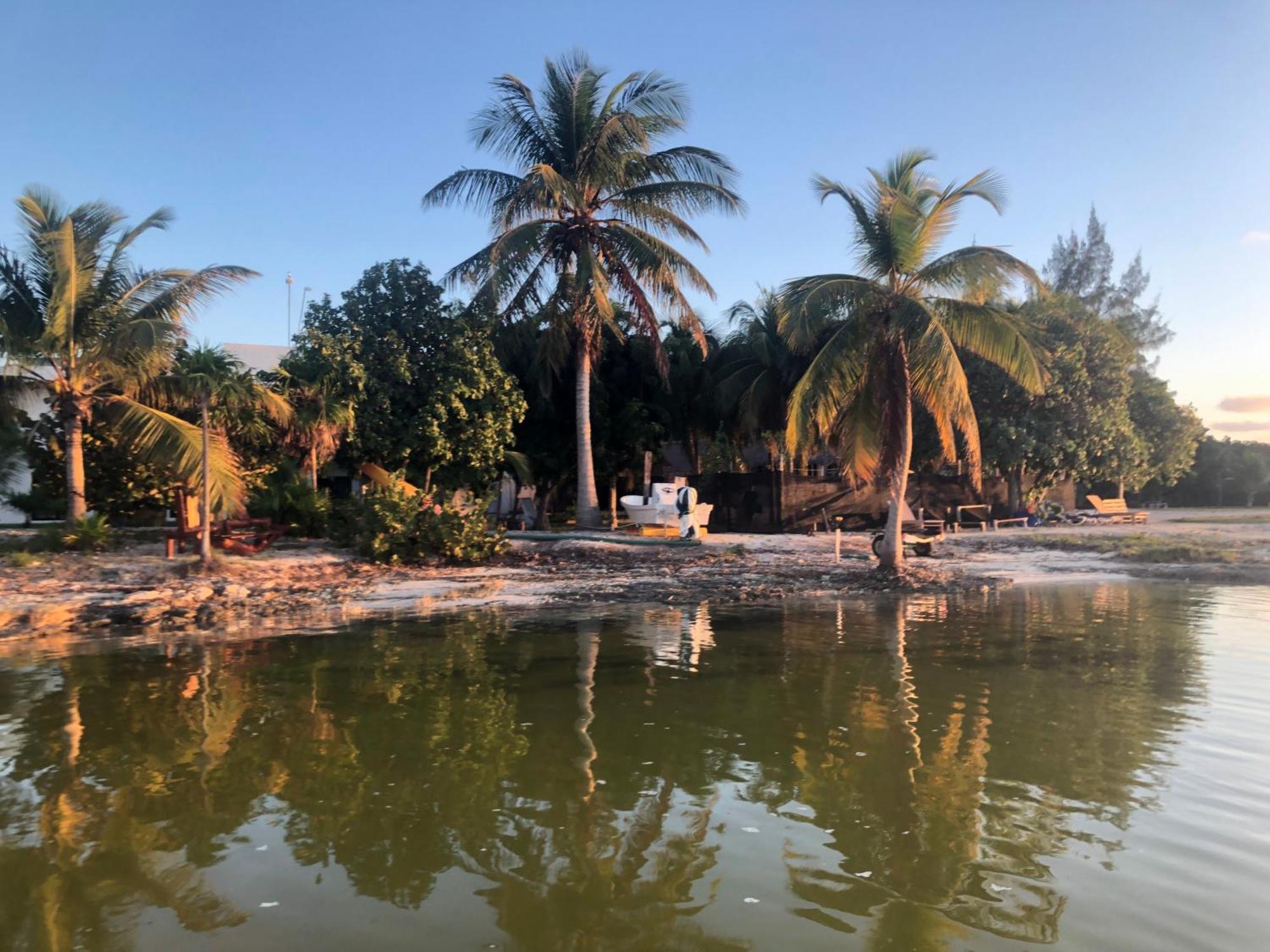 Ikarus Costa Mujeres Eco Lodge Sunset View Cancún Buitenkant foto