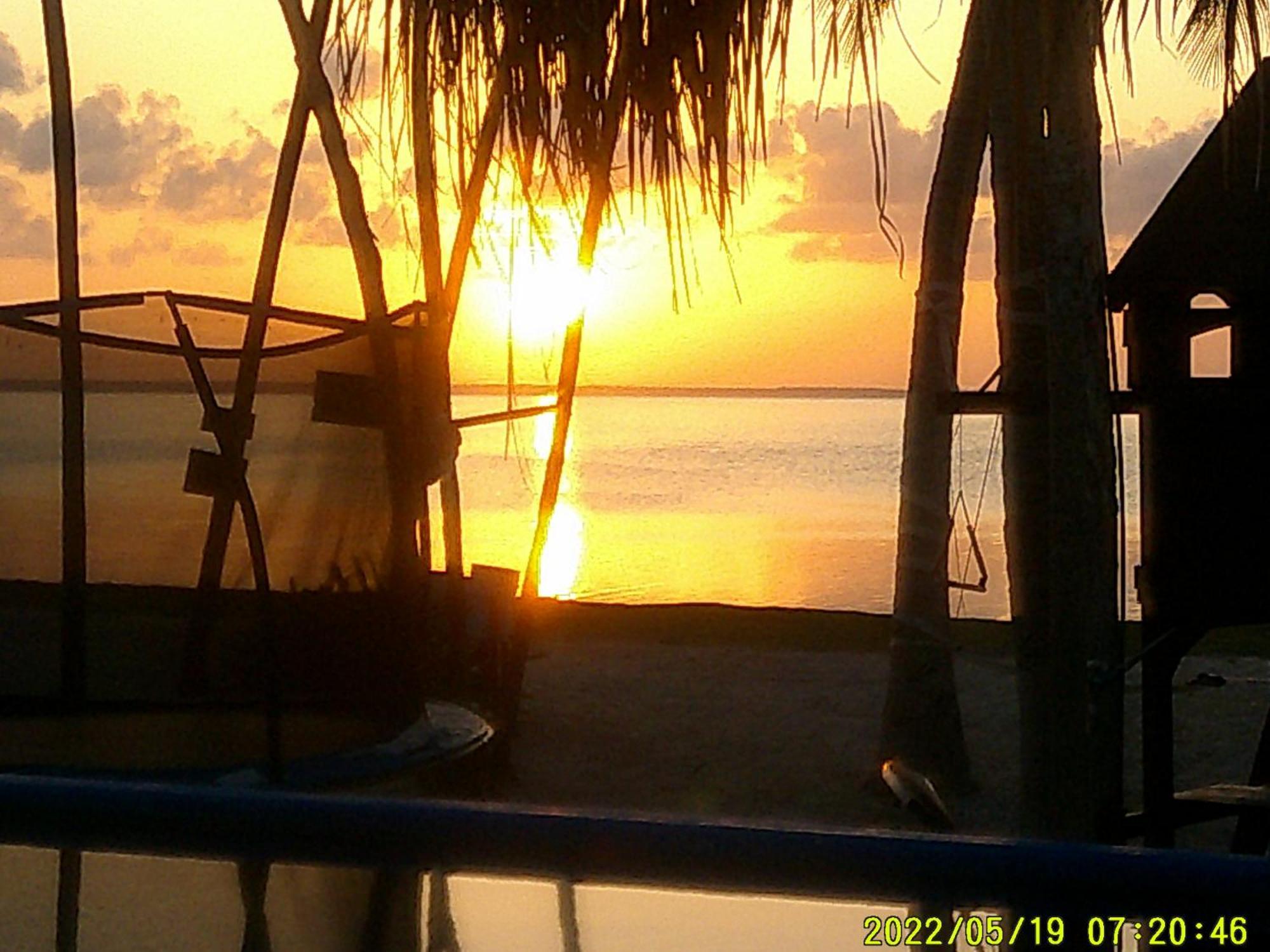 Ikarus Costa Mujeres Eco Lodge Sunset View Cancún Buitenkant foto