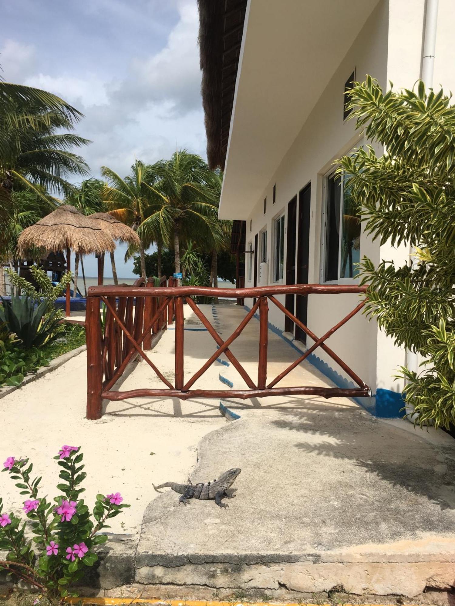 Ikarus Costa Mujeres Eco Lodge Sunset View Cancún Buitenkant foto